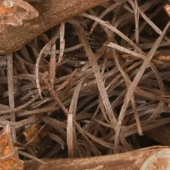 Brown Maple Leaves Wreath