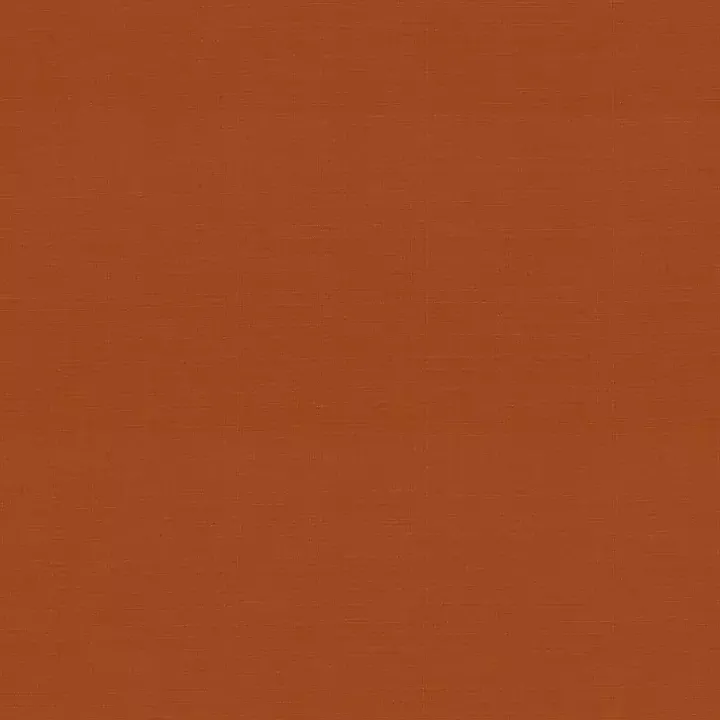 Burnt Orange Outdoor Pillows, Set of 2