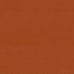 Burnt Orange Outdoor Settee Cushion