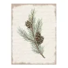 Christmas Pine and Cone Canvas Art Print