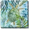 Coastal Turtle Outdoor Canvas Art Print