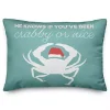 Crabby or Nice Accent Pillow