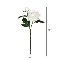 Cream Blooming Peony Stems, Set of 6