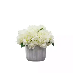 Cream Hydrangea Arrangement in Cement Planter