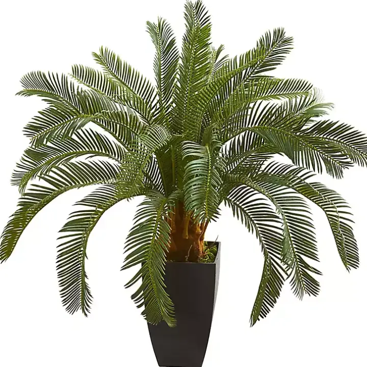 Cycas Floor Plant in Tall Black Planter, 30 in.