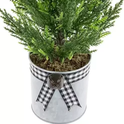 Cypress Mini Potted Christmas Tree