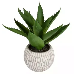 Deep Green Aloe Leaves in Ceramic Container