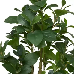 Douban Green in Ribbed Rock Planter