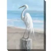 Egret Portrait Outdoor Canvas Art Print
