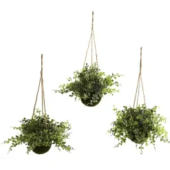 Eucalyptus and Berry Hanging Baskets, Set of 3