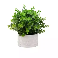 Eucalyptus Arrangement in White Decorative Pot