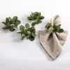 Eucalyptus Napkin Ring