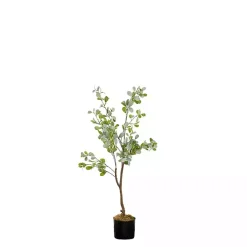 Eucalyptus Tree in Black Pot, 4 ft.