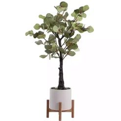 Eucalyptus Tree in Pot on Stand