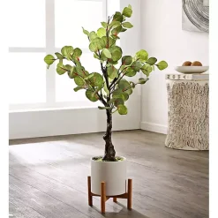Eucalyptus Tree in Pot on Stand
