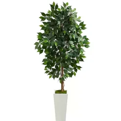 Ficus Tree in Mossy White Tower Planter