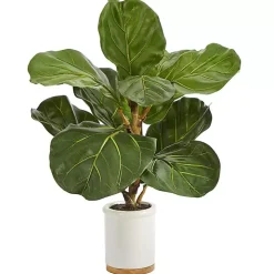 Fiddle Leaf Fig in White Ceramic Planter, 21 in.