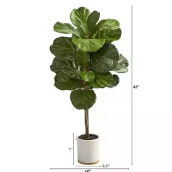Fiddle Leaf Fig in White Ceramic Planter, 42 in.