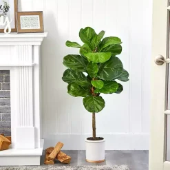 Fiddle Leaf Fig in White Ceramic Planter, 42 in.
