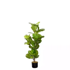 Fiddle Leaf Fig Tree in Black Pot, 4 ft.