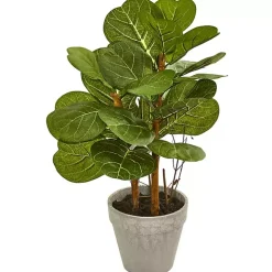 Fiddle Leaf Plant Arrangement, 22 in.
