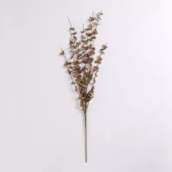 Foam Eucalyptus Spray