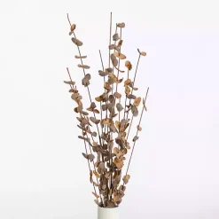 Foam Eucalyptus Sprays, Set of 2