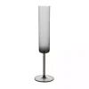 Fortessa Gray Urbo Champagne Flutes, Set of 6