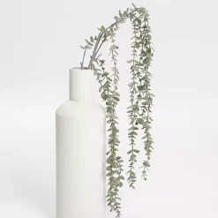 Frosted Draping Eucalyptus Stem