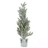 Frosty Potted Angel Pine Tree