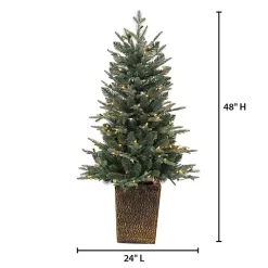 4 ft. Pre-Lit Blue Spruce Potted Christmas Tree