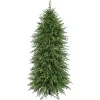 5 ft. Pre-Lit Natural Touch Norfolk Christmas Tree