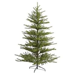 7 ft. Vancouver Mountain Pine Christmas Tree