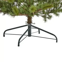 7 ft. Vancouver Mountain Pine Christmas Tree