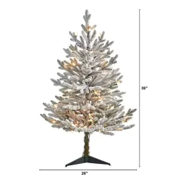 3 ft. White Lit Flocked Fraser Fir Christmas Tree