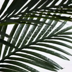 Golden Cane Palm Tree in Woven Planter, 8 ft.