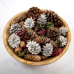 Grand Pine Cone Potpourri