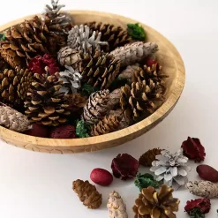 Grand Pine Cone Potpourri