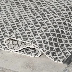 Gray & White Trellis Indoor/Outdoor Rug, 4x6
