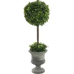 Gray Boxwood Pedestal Urn Topiary, 2 ft.