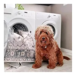 Gray Modern Abstract Washable Area Rug, 5x8