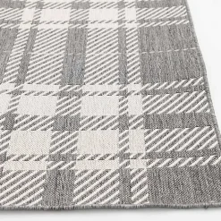 Gray Priya Plaid Indoor/Outdoor Area Rug, 7x9