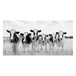 Grazing Pasture Canvas Art Print