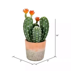 Green Cactus in Clay Pot, 14 in.
