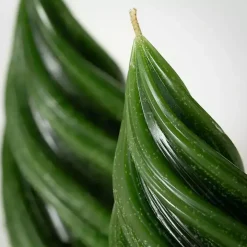 Green Christmas Tree Kitira Candles, Set of 2