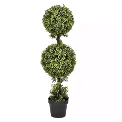 Green Double Ball Boxwood Potted Topiary
