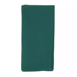 Green Everyday Polyester Cloth Napkins, Set of 12