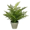 Green Fern Arrangement in Paper Pot