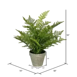 Green Fern Arrangement in Paper Pot