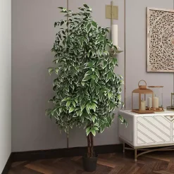 Green Ficus Potted Tree, 73 in.